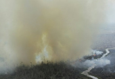 indonesian clerics issue fatwa against forest fires