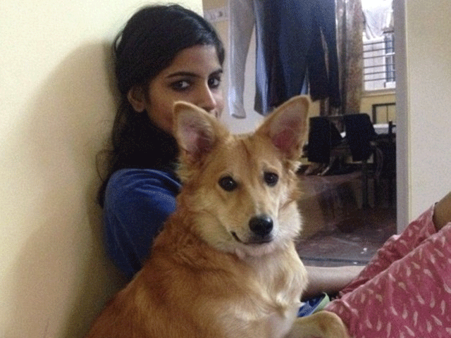 Indian woman turns down marriage proposal over dog