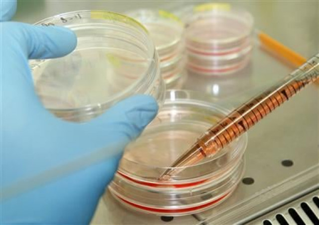 groundbreaking therapy for severe autoimmune disease hailed groundbreaking therapy for severe autoimmune disease hailed