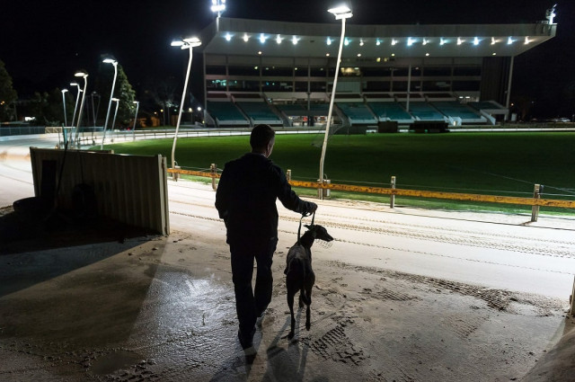 the once vibrant industry in australia 039 s new south wales is being shut down accused of widespread and rampant animal cruelty photo afp the once vibrant industry in australia 039 s new south wales is being shut down accused of widespread and rampant animal cruelty photo afp