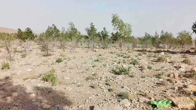 a rs100 million plantation scheme was launched in 2008 to make the gorakh hill green but the plan only continued on paper photos express a rs100 million plantation scheme was launched in 2008 to make the gorakh hill green but the plan only continued on paper photos express