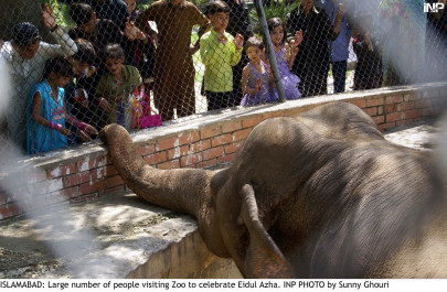 hazardous work two workers at bahawalpur zoo suffer burns after generator catches fire