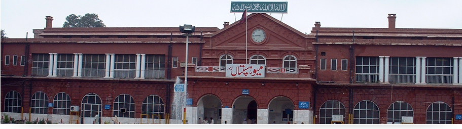 health department spokesperson akhlaq ali khan said that doctors and paramedics had served people in a timely manner during eid holidays photo mayohospital gop pk