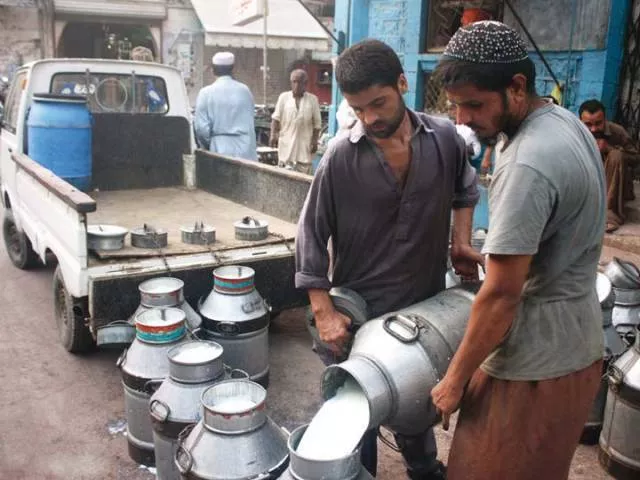 in his petition barrister zafarullah khan had said that adulterated milk was being sold in the market photo online in his petition barrister zafarullah khan had said that adulterated milk was being sold in the market photo online
