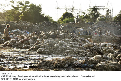 sanitation drive to clear multan of animal waste offal concludes