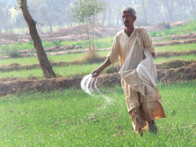 dap import no breakthrough in talks on fertiliser subsidy claims