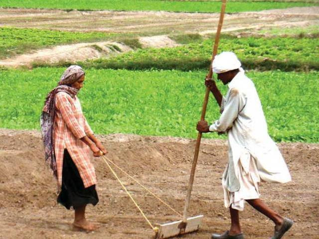kisan cards distributed kisan cards distributed