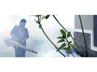 health scare anti dengue measures reviewed health scare anti dengue measures reviewed