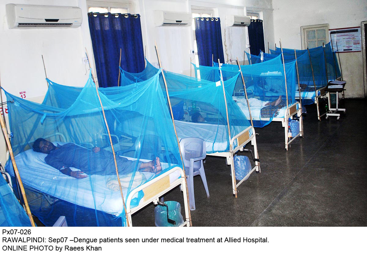 as many as 1 969 patients who have shown symptoms of dengue fever have been admitted over the last eight months photo online