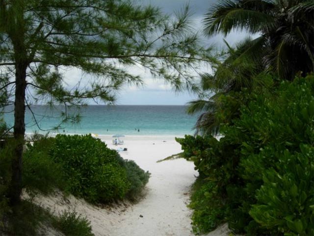 pink sands beach bahamas photo source tripadvisor