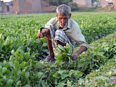 agriculture development punjab govt world bank ink deal