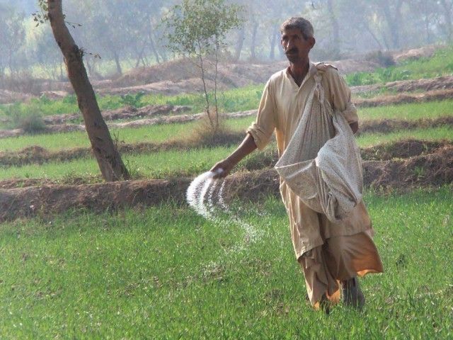 punjab agriculture minister worried about availability for upcoming rabi crops photo express