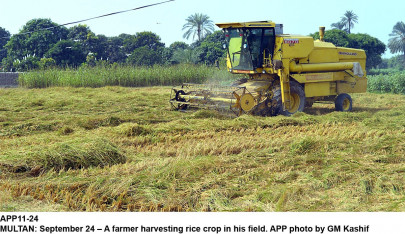 agriculture sector gets rs147b boost agriculture sector gets rs147b boost
