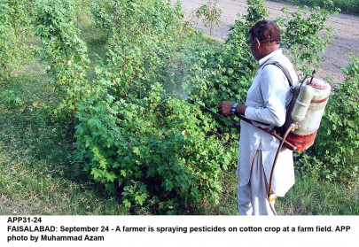 increasing cotton output ministry begins training programme