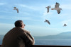 bird netting banned in three districts bird netting banned in three districts