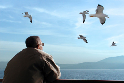 wings of hope we ve forgotten how to fly wings of hope we ve forgotten how to fly