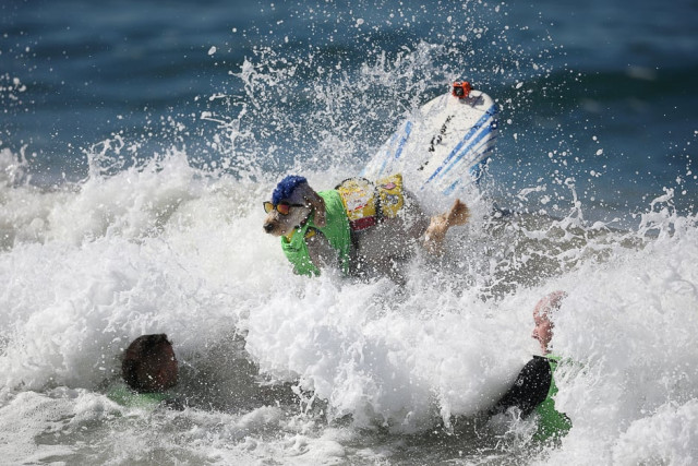 photo reuters photo reuters