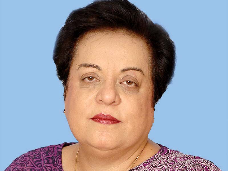 dr shireen mazari photo file