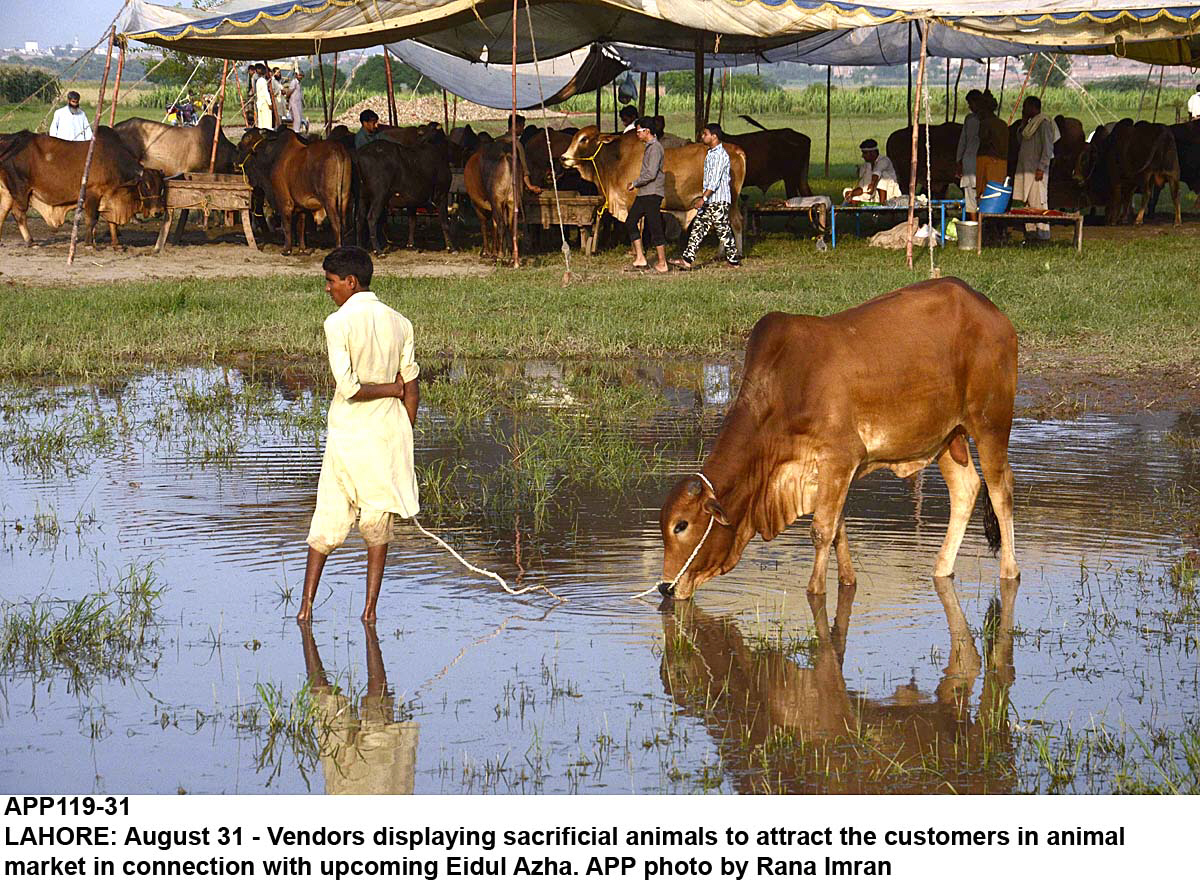 the training sessions were designed to impart modern skills to the farmers of cholistan said channar photo app