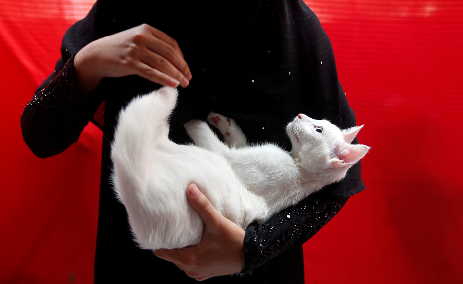 a girl holds her cat before the start of a march to commemorate world animal day during an event organized by a government veterinary hospital in karachi pakistan photo reuters