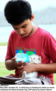 world animal day students faculty join hands for animal rights world animal day students faculty join hands for animal rights