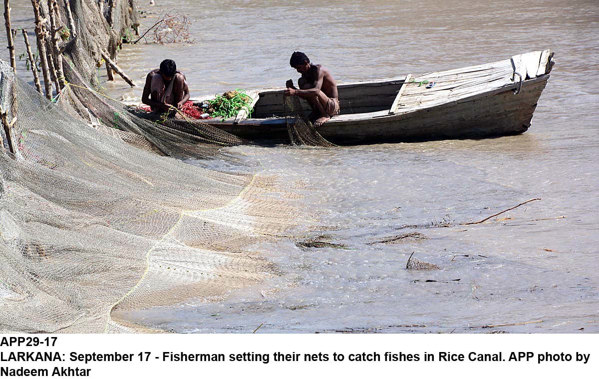 the bench first seemed reluctant to take up the matter but the counsel argued that the fishermen were poor and the state could not give up its responsibility regarding the enforcement of their fundamental rights photo app