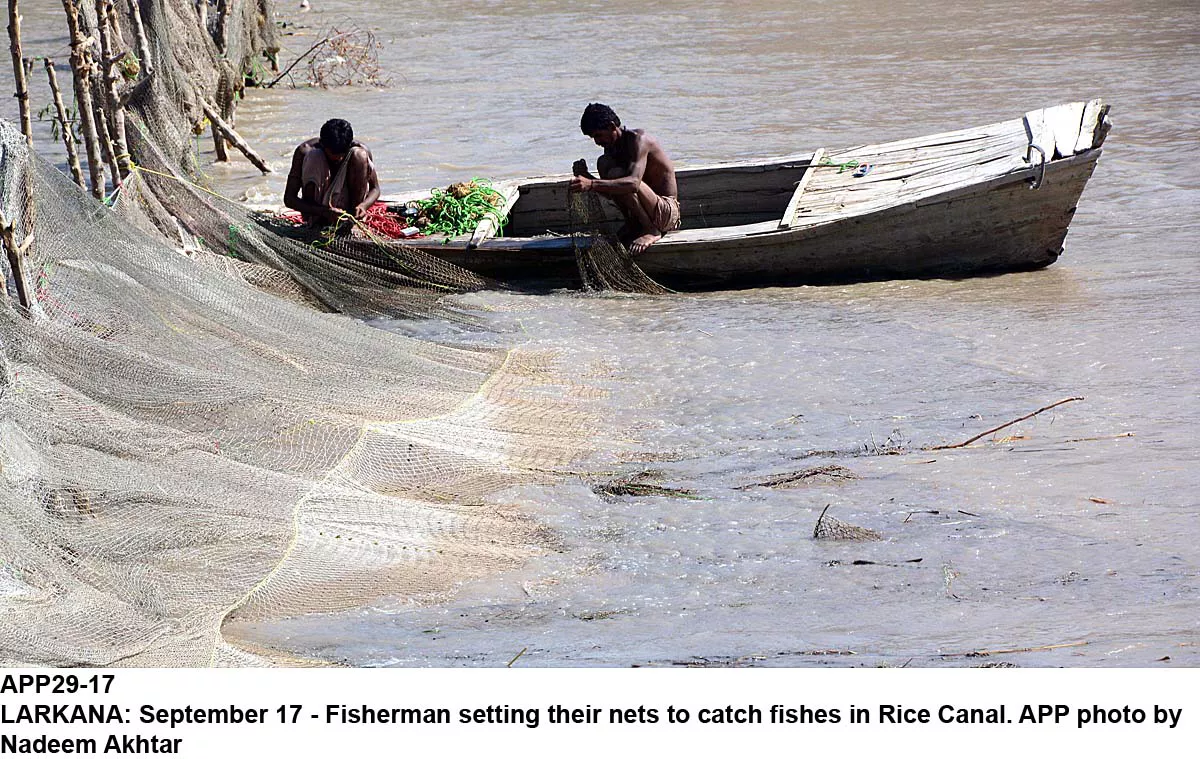 the bench first seemed reluctant to take up the matter but the counsel argued that the fishermen were poor and the state could not give up its responsibility regarding the enforcement of their fundamental rights photo app the bench first seemed reluctant to take up the matter but the counsel argued that the fishermen were poor and the state could not give up its responsibility regarding the enforcement of their fundamental rights photo app