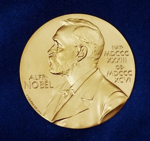 the norwegian nobel institute does not publish names of nominees but norwegian experts compile lists photo nobelprize org