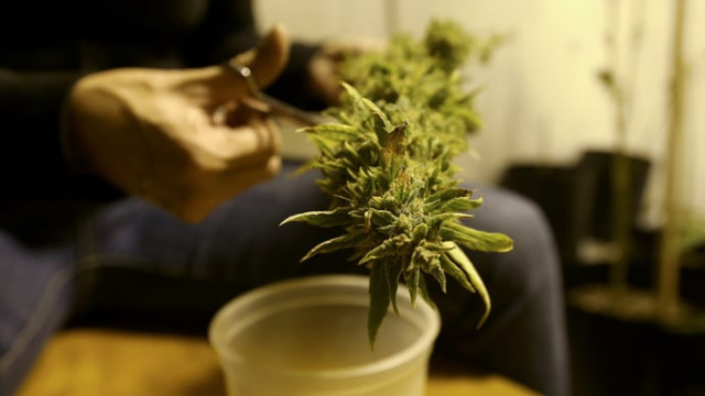 students would be trained to work at local companies that produce the drug photo reuters students would be trained to work at local companies that produce the drug photo reuters