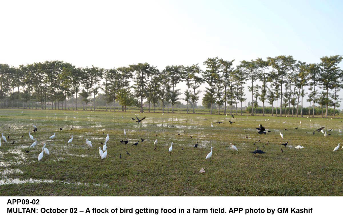 the audit had pointed out illegal allotments in april 2015 but the authority did not respond to audit observations nor was the matter discussed in the dac meeting photo app