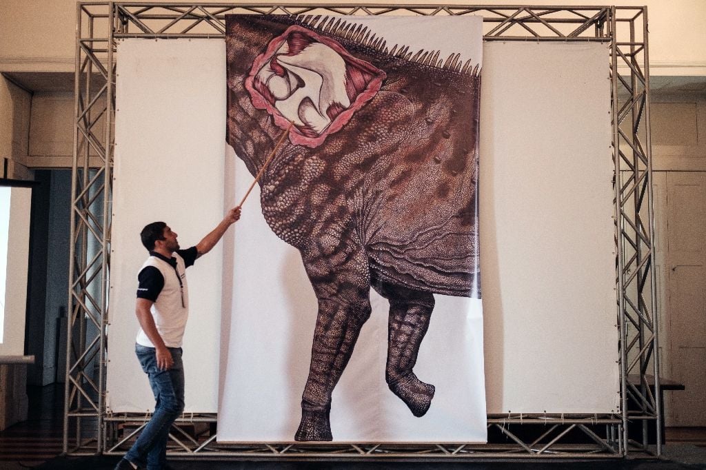 a staff member shows the location of the fossil collected in 1953 by the brazilian paleontologist llewellyn ivor price on its real scale restoration image photo afp