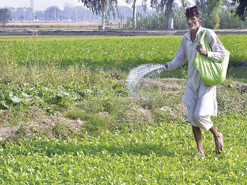 fertiliser subsidy sindh and k p remain stingy in contribution