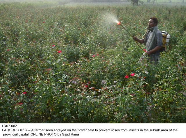 highlighting the vulnerability of agriculture sector because of extreme weather events the study warned of imminent crop failures if such phenomenon persisted photo online