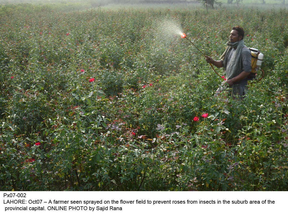 highlighting the vulnerability of agriculture sector because of extreme weather events the study warned of imminent crop failures if such phenomenon persisted photo online