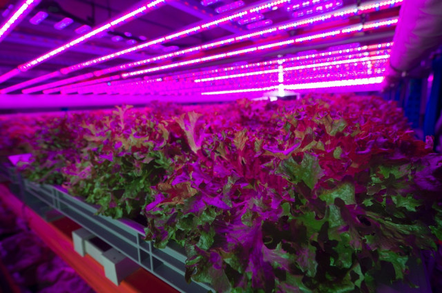 a 50 square metre space can be transformed into 500 square metres of usable quot land quot with this system photo afp a 50 square metre space can be transformed into 500 square metres of usable quot land quot with this system photo afp