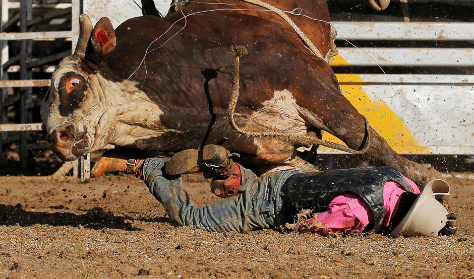 aboriginal bull rider sally malay from the kimberley region in the western australian outback is thrown off a bull during competition at the deni ute muster in deniliquin new south wales photo reuters