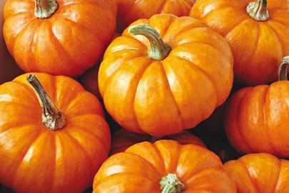health hacks 6 ways to incorporate pumpkins into your diet
