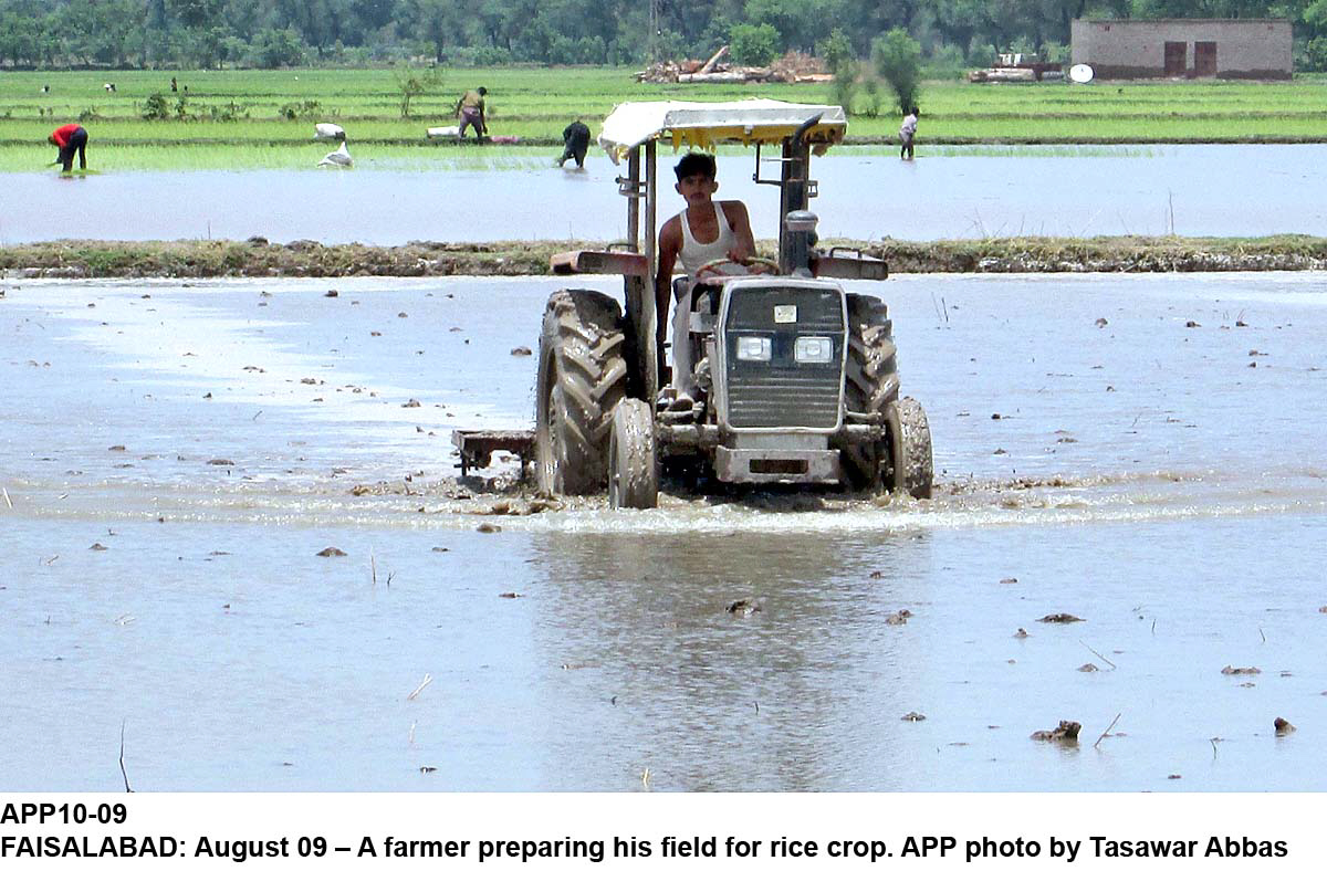 the experts stressed the need to reform and revamp national agriculture research system for the appropriate solution to the complex nature of agriculture sector issues photo app