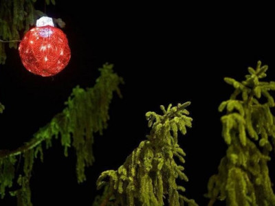 pennsylvania s charlie brown christmas city gets artificial tree pennsylvania s charlie brown christmas city gets artificial tree