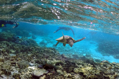 is the australian great barrier reef dead