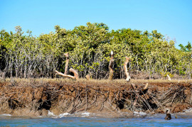 resilience in the indus delta
