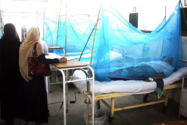 the edo health said as the in temperatures fall ahead of winter the dengue mosquito finds safer places inside houses photo agha mehroz express the edo health said as the in temperatures fall ahead of winter the dengue mosquito finds safer places inside houses photo agha mehroz express