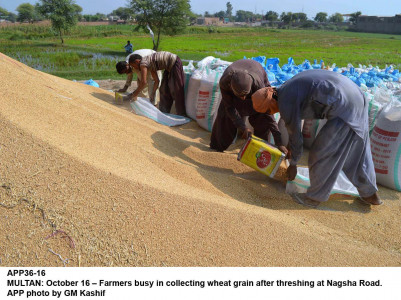 food insecurity why should we grow crops ask gilgit farmers food insecurity why should we grow crops ask gilgit farmers