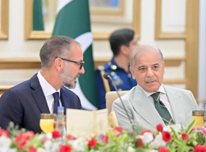 pm shehbaz urges akdn to expand partnership with pakistan in meeting with aga khan pm shehbaz urges akdn to expand partnership with pakistan in meeting with aga khan