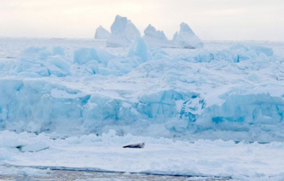 scientists launch unprecedented antarctic research mission scientists launch unprecedented antarctic research mission