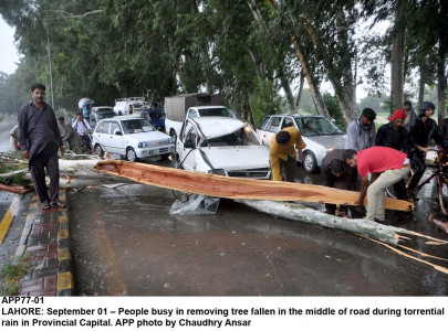 rcc conference regional countries need to invest more for disaster proofing rcc conference regional countries need to invest more for disaster proofing