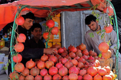 large afghan pomegranate crop threatened by lack of markets