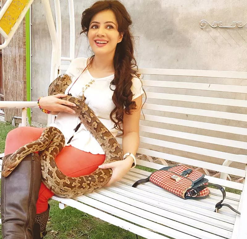 rabi pirzada claims she loves snakes and they love her too photo file rabi pirzada claims she loves snakes and they love her too photo file