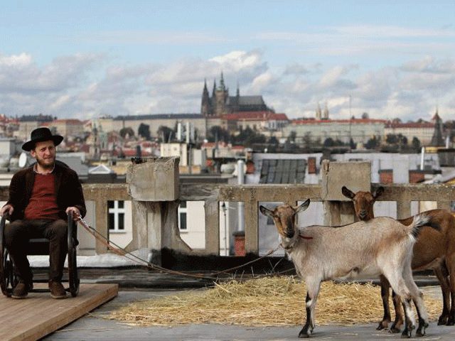 the animals were guests of honor at the opening of a terrace on the city centre landmark photo reuters the animals were guests of honor at the opening of a terrace on the city centre landmark photo reuters