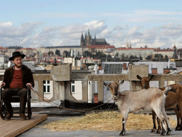 the animals were guests of honor at the opening of a terrace on the city centre landmark photo reuters